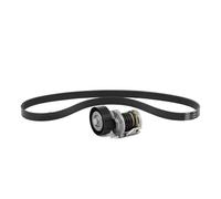 GATES K186PK1218 Jeu de courroies trapézoïdales à nervures