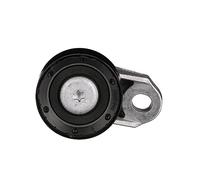 GATES PowerGrip Galet Tendeur T42343