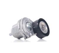 GATES T38498 Poulie, tendeur de courroie d'accessoire