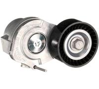 GATES T38498 Poulie tendeur de courroie d'accessoire