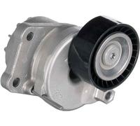 Gates Poulie tendeur de courroie d'accessoire T39376