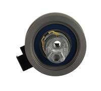 GATES PowerGrip Galet Tendeur T43242