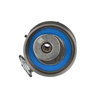 GATES PowerGrip Galet Tendeur T43266
