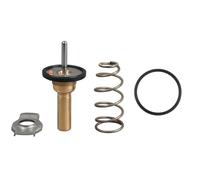 Thermostat d'eau GATES TH49990G1