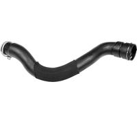 Tuyau du système de refroidissement EPDM (éthylène-propylène-diène-caoutchouc)