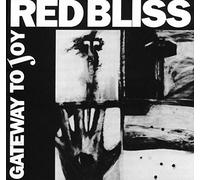 Gateway to Joy [Import]