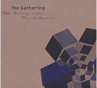 Gathering - Tg25: Diving. -Digi [Import]