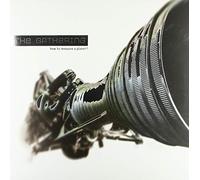 Gathering,the - How to Measure a Planet (Black 2lp)