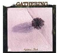 Gathering the - Nighttime Birds