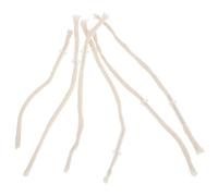 GATHINESS 6 Mèches de Lampe à Huile en Coton Lot de 6 Pièces avec Joint en Verre Mèche Ajustable Anti-Fuite pour Lampe à Pétrole, pour Camping et Éclairage de Patio