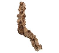GATHINESS Bois de Grenadier Naturel pour Terrarium, Branche de Grimpe pour Reptiles et Hamsters, Surface d'escalade en Bois, Décor de Vivarium pour Habitat et Accessoire Animalier