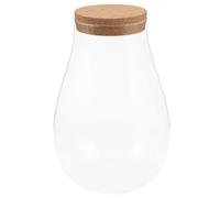 GATHINESS Bouteille en Verre pour Terrarium à Bryophytes, Décoration Multifonctionnelle pour Table et Café Micro Paysage Naturel