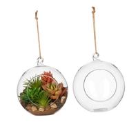 GATHINESS Lot de 2 Pots à Suspendre en Verre - Vase Boule pour Plantes succulentes - 2 Trous - Micro Paysage - Ornements de Bouteille pour Maison et Bureau