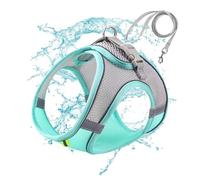 Gatito Arnés Y Correa Ajustable | Arnés De Malla Suave Arné De Chaleco Ajustable Para Gatos Con Correa Reflectante | Arné De Chaleco Ajustablee Paraa Gatos Para Gatitos, Arnné Transpirable Gatito