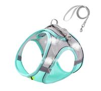 Gatito Arnés Y Correa Ajustable | Arnés De Malla Suave Arné De Chaleco Ajustable Para Gatos Con Correa Reflectante | Arné De Chaleco Ajustablee Paraa Gatos Para Gatitos, Arnné Transpirable Gatito