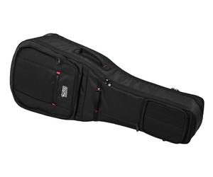 Gator Gator G-PG E/A Double Bag