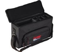 Gator Housse rembourrée GM-2W pour 2 micros HF