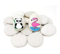 GATS à Peindre Blanc Pierres gravier pour aquarium pierre décoratives pierres de jardin blanches roches pierre naturelle GALET DECO