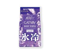 Gatsby Lingettes Déodorantes Corps Homme, Ice Fruity Fruité, 30 Lingettes Idéal Pour Yoyager, Made in Japan