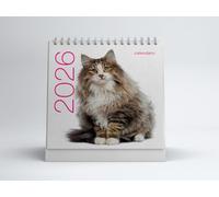 Gatti. Calendario da tavolo 2026