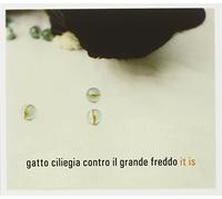 Gatto Ciliegia Contr - It Is