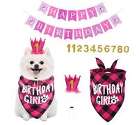 Gatuida 1 Ensemble Set Anniversaire pour Animaux Bandana et Chapeau pour Chien Accessoires de Fête pour Chiens et Décorations Sécurisées pour Célébrations Anniversaire Ambiance Festive et