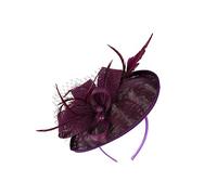 Gatuida 1 Pièce Diadème Élégant Tulle et Plumes Accessoire de Cheveux pour Fête Mariage et Événements Spéciaux Profitez un Look Unique et