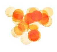 Gatuida 100 Pièces Fritillaria Shell Slices coquillage Pendants de coquille à disque lis Perles avec de trous trousses coquilles rondes pour l'artisanat coques de mer Orange