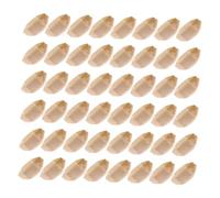 Gatuida 100 Pièces Plateau Jetable Forme de Bateau pour Sushi Assiettes Stables et Résistantes pour Snacks Sandwiches Salades et
