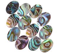 Gatuida 12Pièces Cabochons de Coquille Ormeau pour Bricolage Décoratifs pour Bijoux Colliers et Bracelets Matériau Naturel Motifs