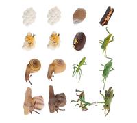 Gatuida 16 pièces Modèle Animal Cycle de Croissance Jeu Cognitif Éducatif Maternelle Décoration pour Garçon Fille Couleur Aléatoire Couleur Aléatoire