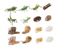 Gatuida 16 pièces Modèle Croissance Animale Réaliste Éducatif Cycle de Vie Animal pour Maternelle Outil Scientifique Interactif pour Garçon Fille Modèle Évolution Couleur Aléatoire