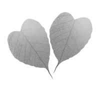 Gatuida 2 pièces Infuseur à Thé Acier Inoxydable Forme Feuille Passoire Fine et Infusion Plantes