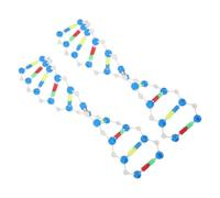 Gatuida 2 pièces Modèle Adn Double Hélice Éducatif Kit Construction Moléculaire pour Classes Biologie et Centres Recherche Génétique 2 pcs