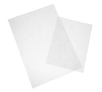 Gatuida 2 Pièces Semi Transparent Peony Heat Shrink Sheets Precut Floral Shrink Plastic for DIY Hairpins Earrings Creative Craft Projects