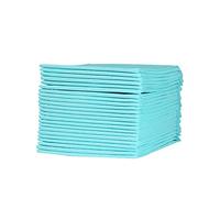 Gatuida 20pièces Coussin Urine pour Animaux De Compagnie Coussin Urine De Dressage pour Chiots Coussinets De Dressage pour Chiens pour Éducation Et Accompagnement