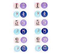 Gatuida 24 Pièces Autocollants du Mois des Fleurs Décalcomanies Jalon Bébé Nouveau-né Carte Papier 12 Mois Garçon Nouveau Né Stickers Jalon Mensuel Papier Un Mois Décorer De Bébé