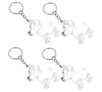 Gatuida 4 Pièces Boîte de Conservation Poils Animaux Transparente Porte Clés Capsule Mémoire Étanche Boîte Commémorative Portable pour Stockage et Souvenir Poils Chien pour Propriétaires