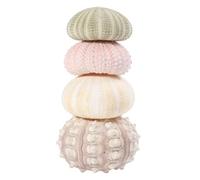 Gatuida 4 pièces Support Plante Aérienne Original Coquilles Oursins Cache Pot Décoratif DIY pour Tillandsia Pot Suspendu Naturel pour Intérieur Accessoire Jardin Bord de Mer Style