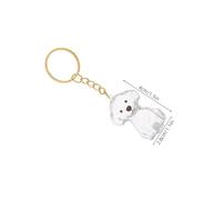 Gatuida 4pièces Porte-clés pour Poils De Chat Rangement Compact Capsule Transparente Souvenir Commémoratif pour Animaux De Compagnie pour Sacs Et Clés