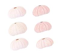 Gatuida 6 pièces Flowerpots Sea Urchin Shape Air Plant Holders Shell Design Small Decorative Planters for Office and Couleur Aléatoire Couleur Aléatoire
