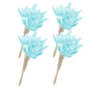 Gatuida 60 Queues de Lapin en Herbe Séchée Naturelle, Bouquet Décoratif Bleu Clair 60 Pièces pour Mariage, Décoration Intérieure et Composition DIY, Fleurs Séchées pour Table et Événement