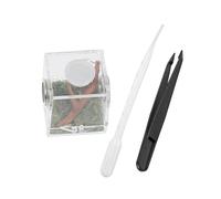 Gatuida Boîte Élevage Acrylique pour Araignées Conteneur Éclosion pour Reptiles avec Orifice De Ventilation Résistant à Humidité