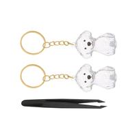 Gatuida Boîte Porte-clés Souvenir Poils Animaux Transparente avec Pince Coffret Commémoratif Chien Rangement Léger et Fonctionnel pour Mémoire de Votre Animal