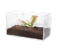Gatuida Boîte pour Reptiles Acrylique Transparent Terrarium pour Lézards Araignées et Tortues avec Accessoires