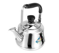 Gatuida Bouilloire Acier Inoxydable avec Filtre Sifflet Automatique pour Maison Chauffe Eau Rapide Couvercle Style Aléatoire Adaptée Plaques Induction et Théière