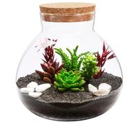 Gatuida Bouteille éco Terrarium végétal Pot de Terrarium Grand Pot de maçon Pots d'apothicaire Usine bocaux Terrarium en Bouteille de Verre Bocal Vide Bricolage Bouteille Vide Un Verre