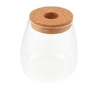 Gatuida Bouteille Verre pour Plantes Pot Hydroponique de Bureau Contenant pour Micro-Paysage DIY