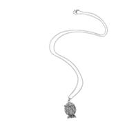 Gatuida Collier Urne Hibou en Acier Inoxydable pour Cendres, Bijou Souvenir
