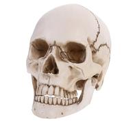 Gatuida Crâne Humain Résine 1:1 Modèle Anatomique Dents Mobiles Squelette pour Enseignement Traçage Accessoires pour Fête Costumée Collection